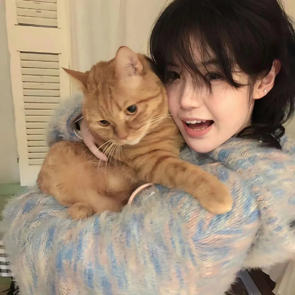 猩疯血雨海报